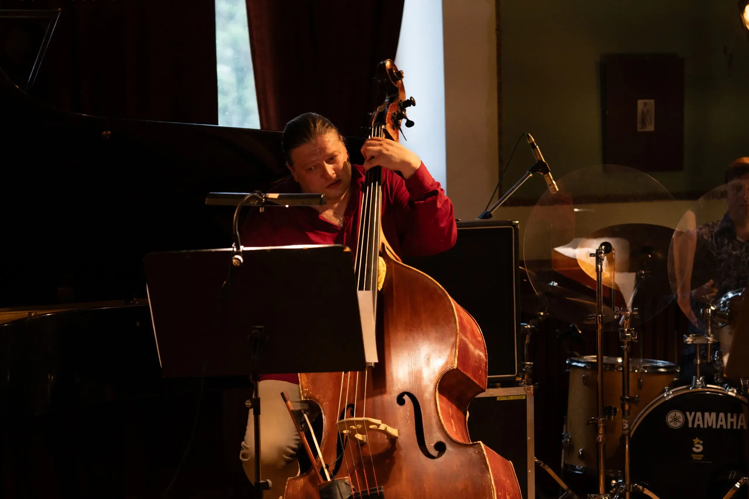 Билеты на концерт контрабаса в Перми