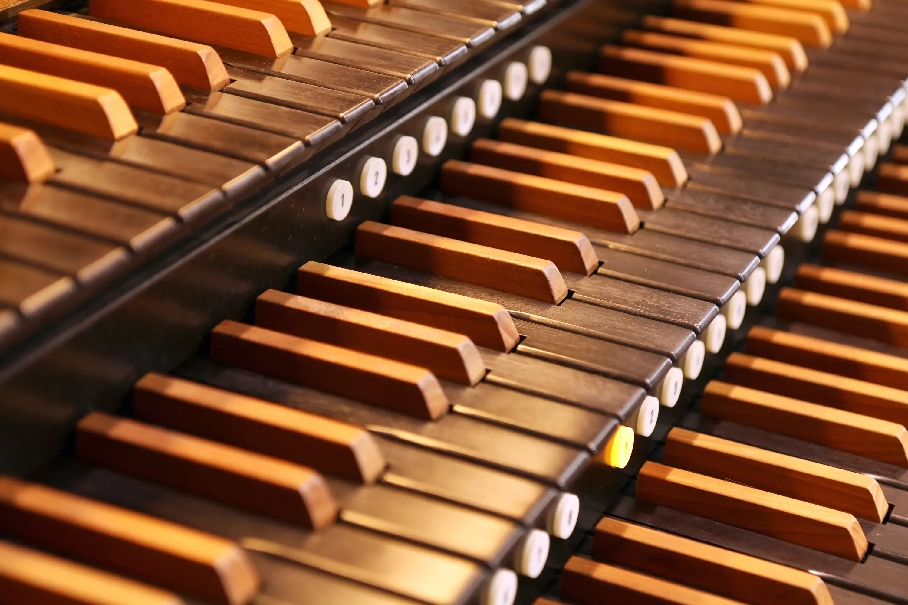 Билеты на органный концерт в Новосибирске