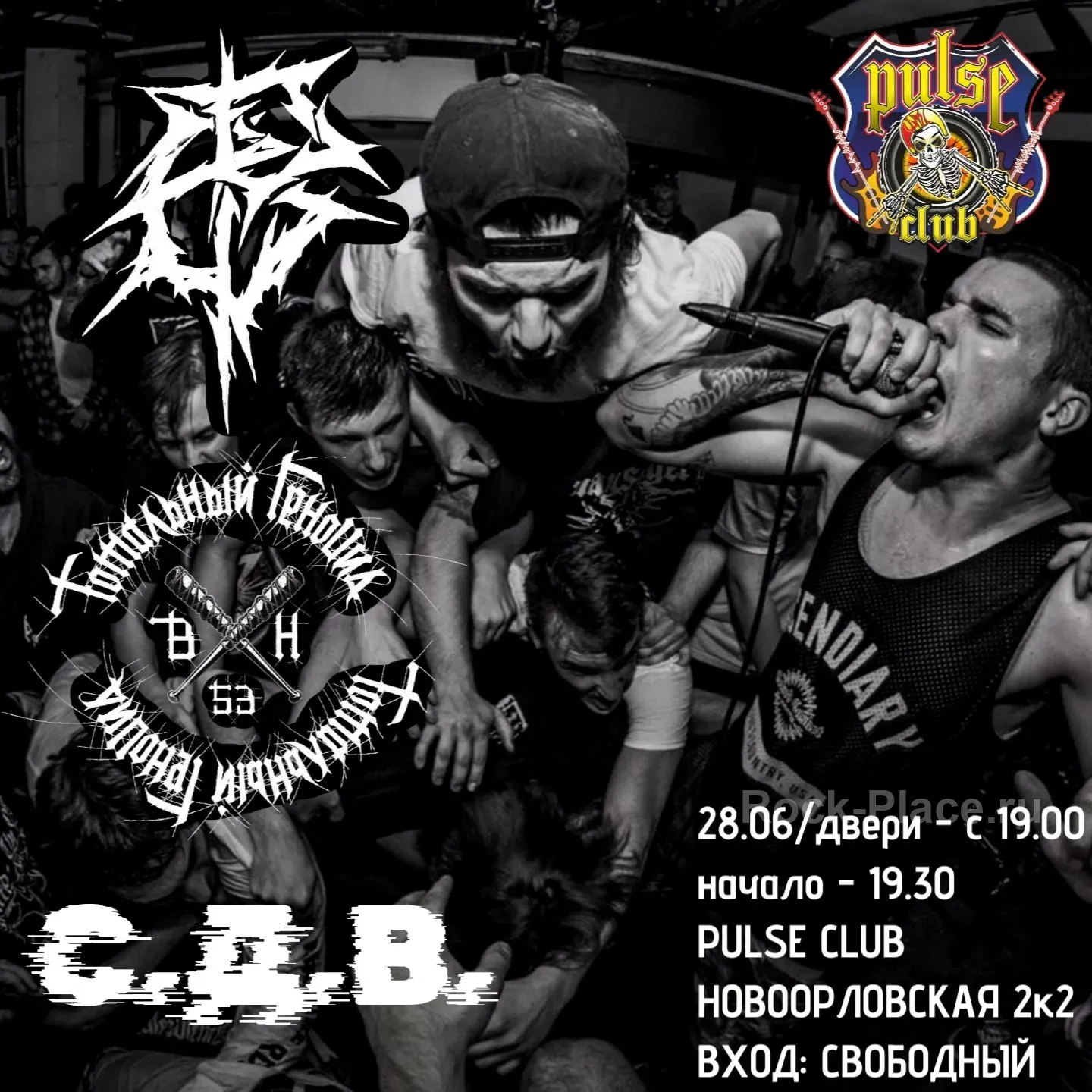 Summer PulseFest/Pulse Club/28.06.25